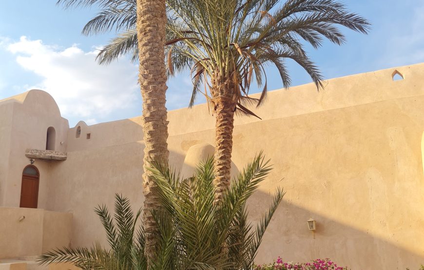 Day Trip to Wadi El Natrun from Alexandria
