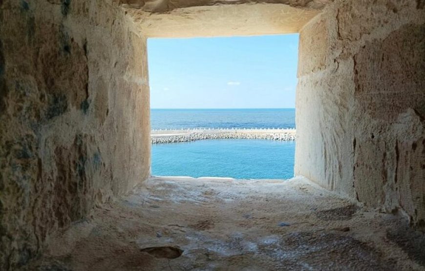 Alexandria Day Tour Trip