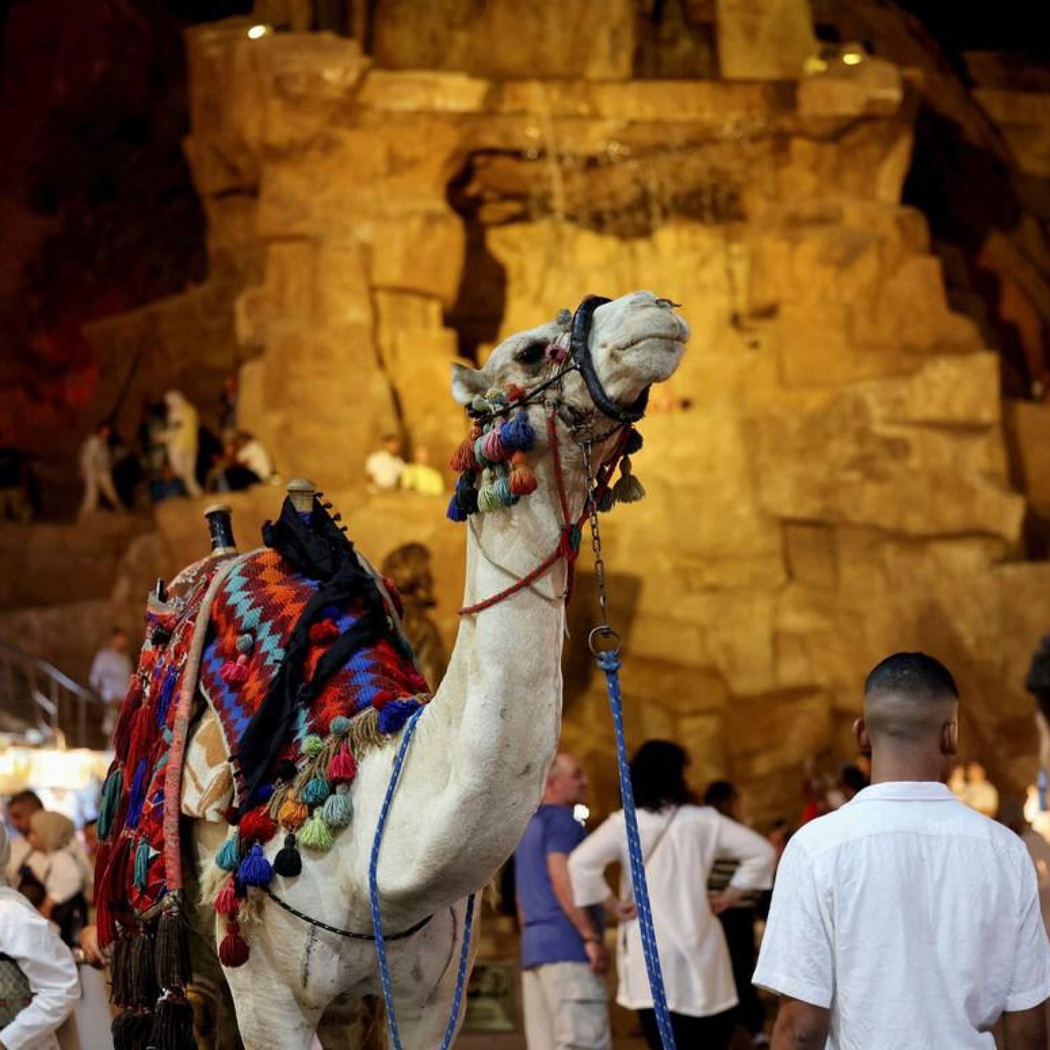 Sharm-.jpg