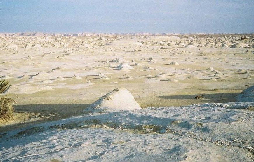 Day Trip to Wadi El Natrun from Alexandria