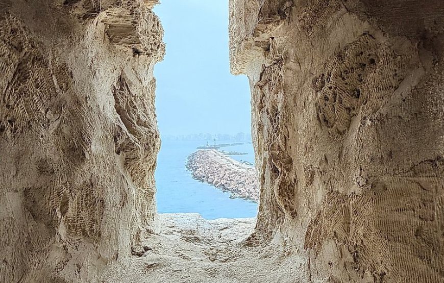 Alexandria Day Tour Trip