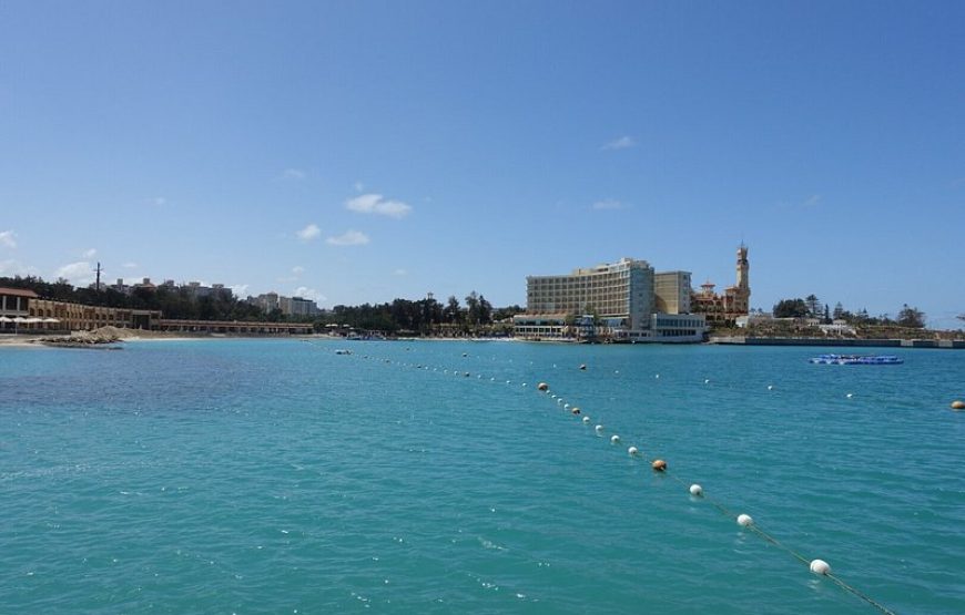 Alexandria Day Tour Trip