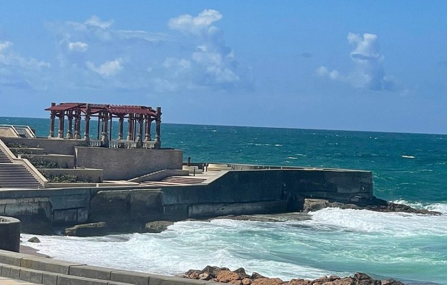 Alexandria Day Tour Trip