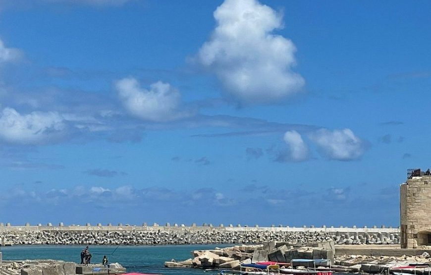 Alexandria Day Tour Trip