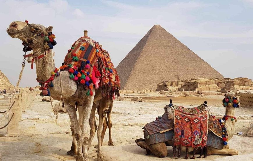 Giza Pyramids Sakkara and Dahshour Private Tour included lunch