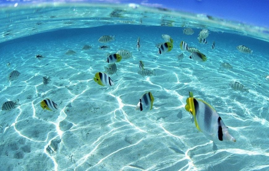 Hurghada: Orange Bay Island Trip with Snorkeling, Lunch & Drinks