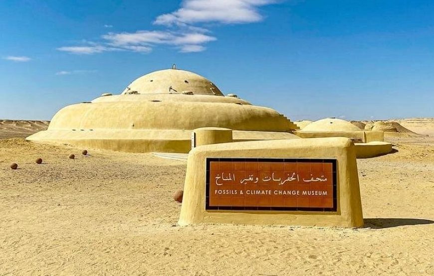 Full-Day Fayoum Oasis Private Tour from Cairo or Giza