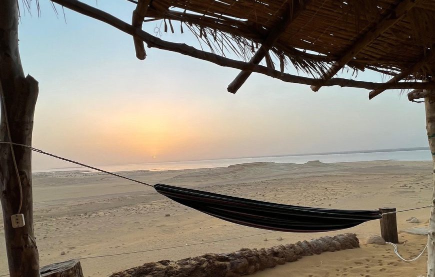Full-Day Fayoum Oasis Private Tour from Cairo or Giza