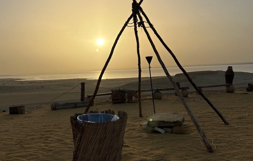 Full-Day Fayoum Oasis Private Tour from Cairo or Giza