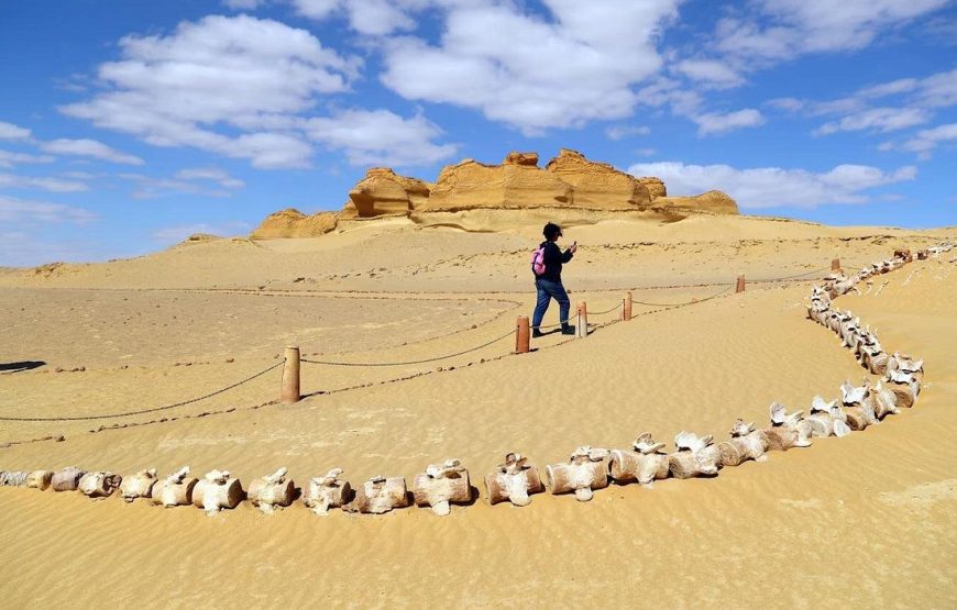 Full-Day Fayoum Oasis Private Tour from Cairo or Giza