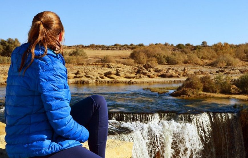 Full-Day Fayoum Oasis Private Tour from Cairo or Giza