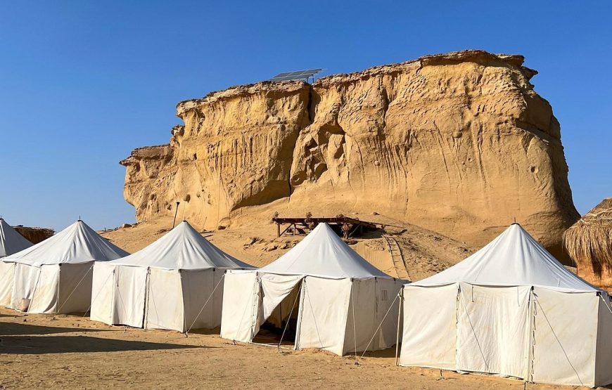 Full-Day Fayoum Oasis Private Tour from Cairo or Giza