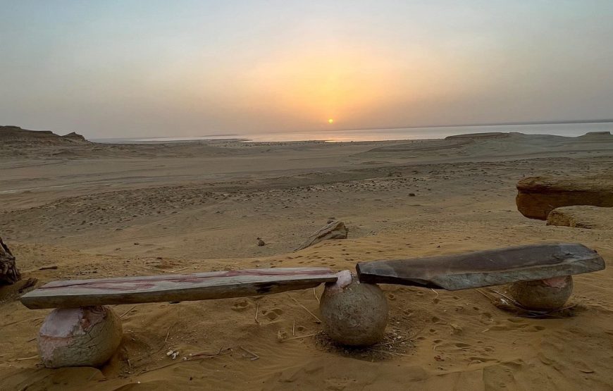 Full-Day Fayoum Oasis Private Tour from Cairo or Giza