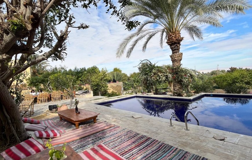 Full-Day Fayoum Oasis Private Tour from Cairo or Giza