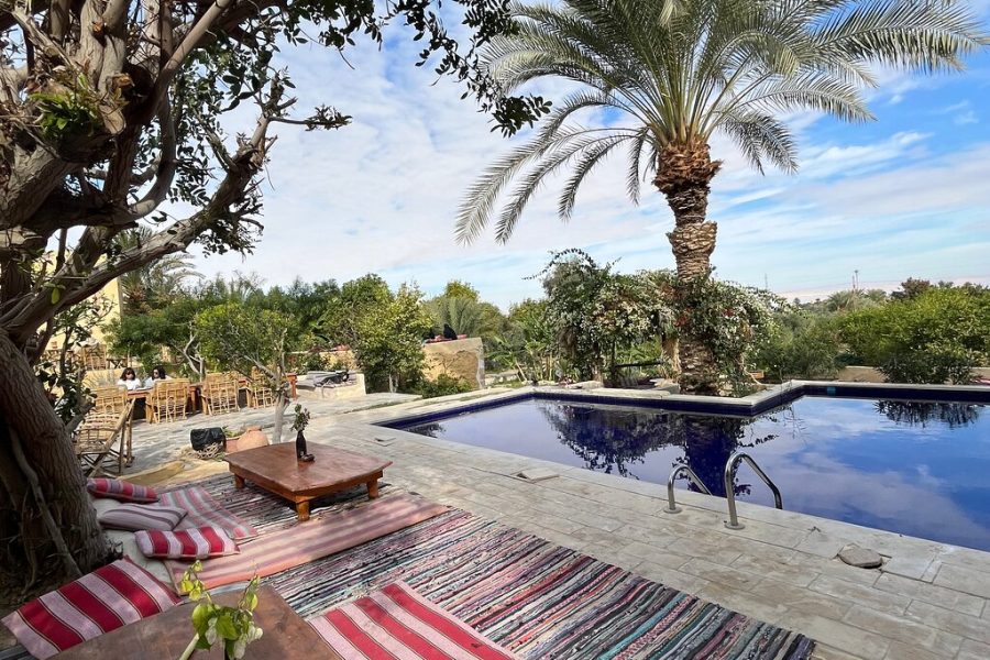 Full-Day Fayoum Oasis Private Tour from Cairo or Giza