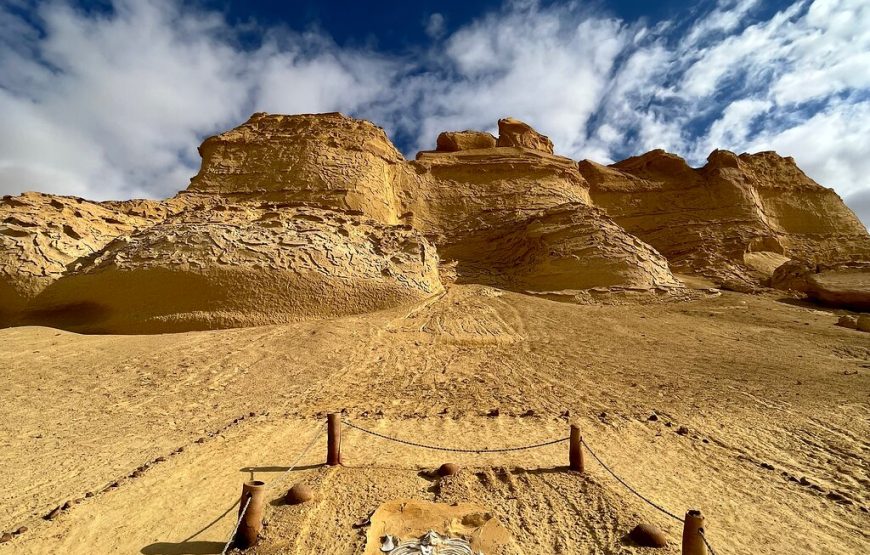 Full-Day Fayoum Oasis Private Tour from Cairo or Giza
