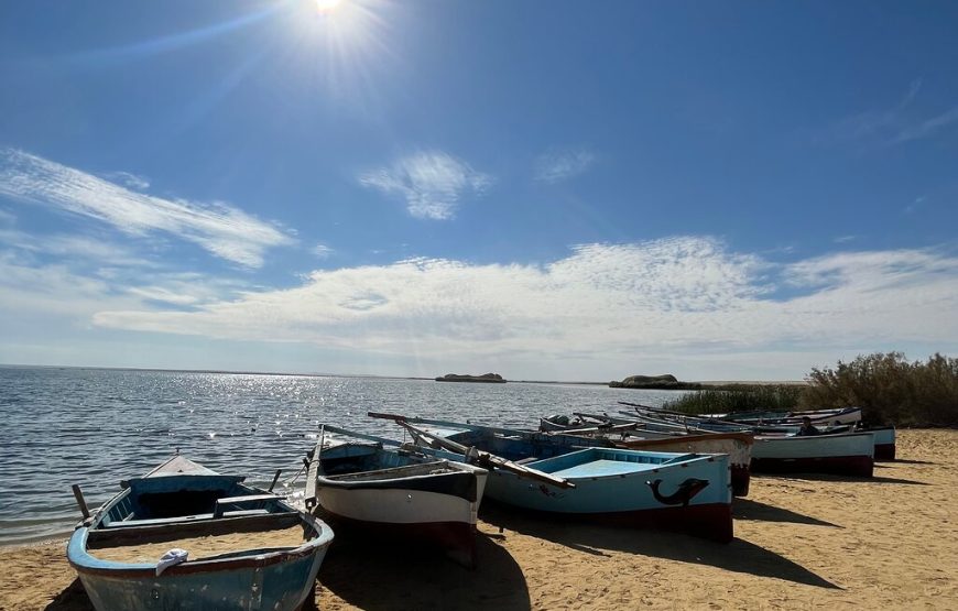 Full-Day Fayoum Oasis Private Tour from Cairo or Giza